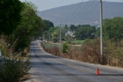 Y3020351