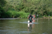 G3011542