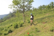 W3013937