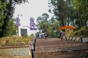 Y3024263