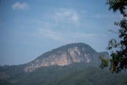 Y3024394