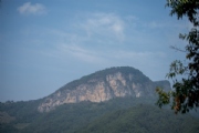 Y3024415
