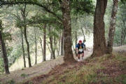 R3021934