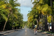 A3032310