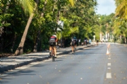 C3031281