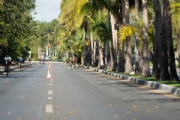 C3031425