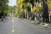 C3031549