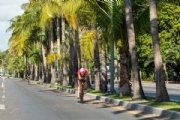 C3032306