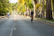G3031208
