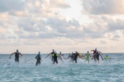 H3033582