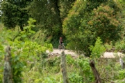 A3030814