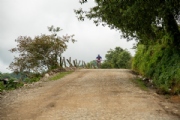 F3035541