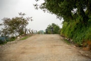 W3035523