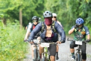 I3036419