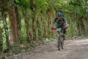 W3035994