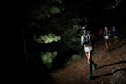 C3041824