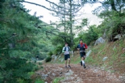 F3042245