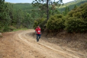 V3041750