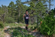 D3063217