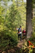 C3044132