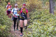 W3047351