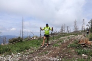 H3046106