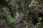 O3074599