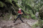 W3074495