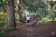 B3076008