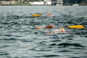 H3102152