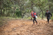 Y3097618