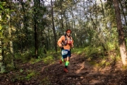 Q3091936