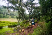 J3088219