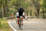 T3111326