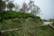 T3121371