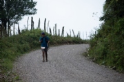 V3120445