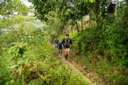 T3125500