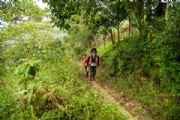 T3125729