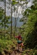 H3116147