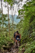 V3116739