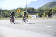 N3133535