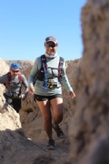 W3131364