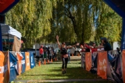 Y3139426