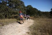 K3146204