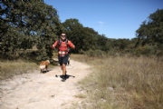 T3146391