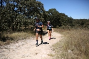W3146359