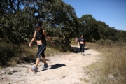 Y3146673