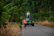 V3142354