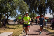 G3143374