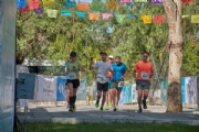 O3144880